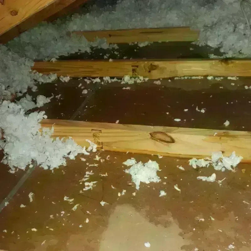 Attic Water Damage in Roeland Park, KS